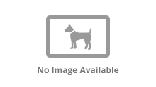 Microchipping Law - Wales